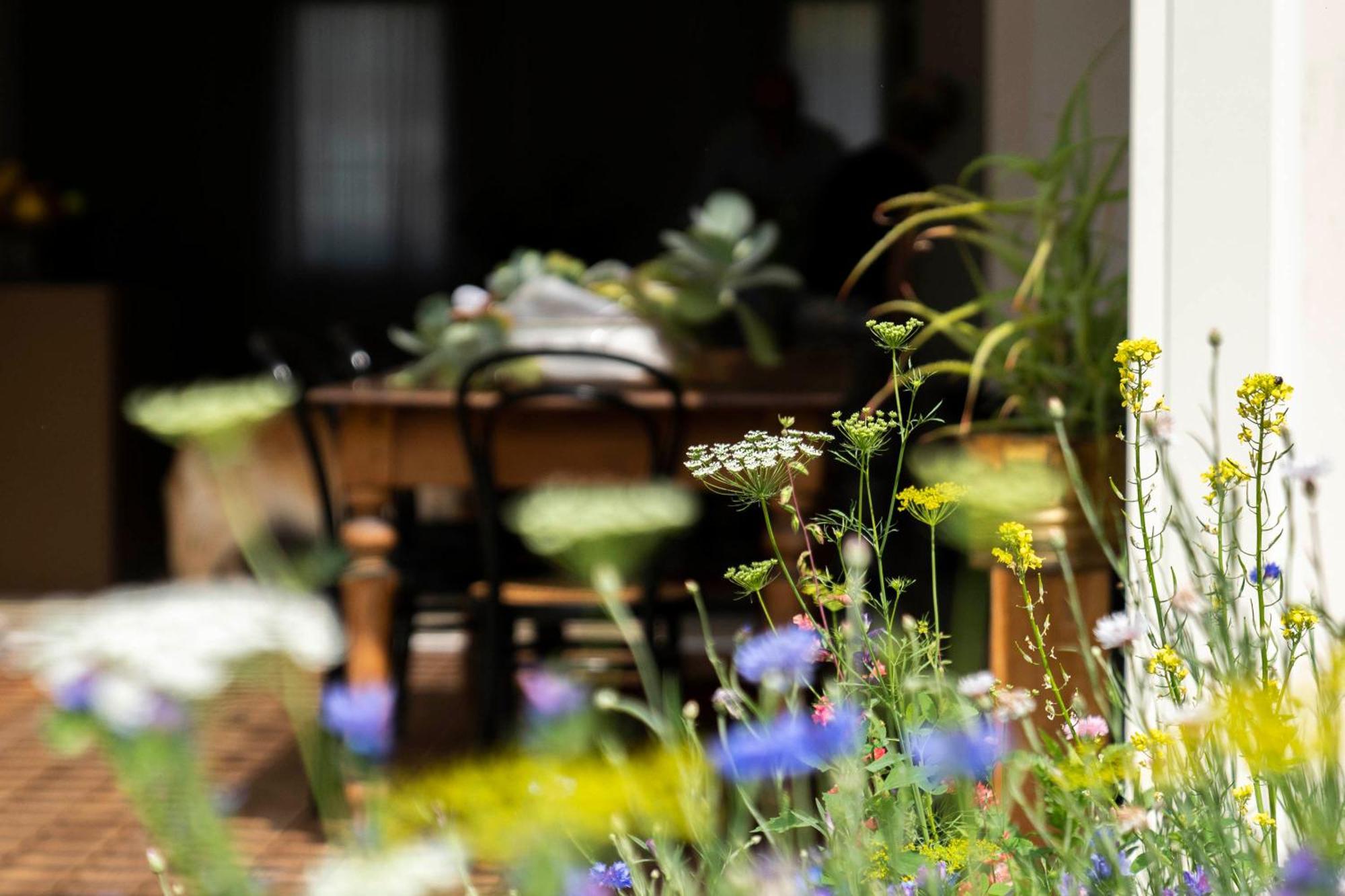 Bed And Breakfast Canalgrande Мира Екстериор снимка